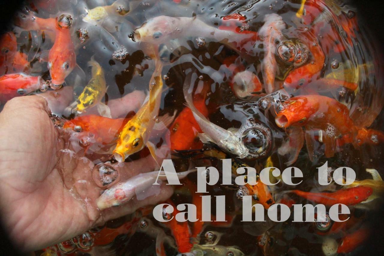 מי טאו Thach Thao Homestay מראה חיצוני תמונה